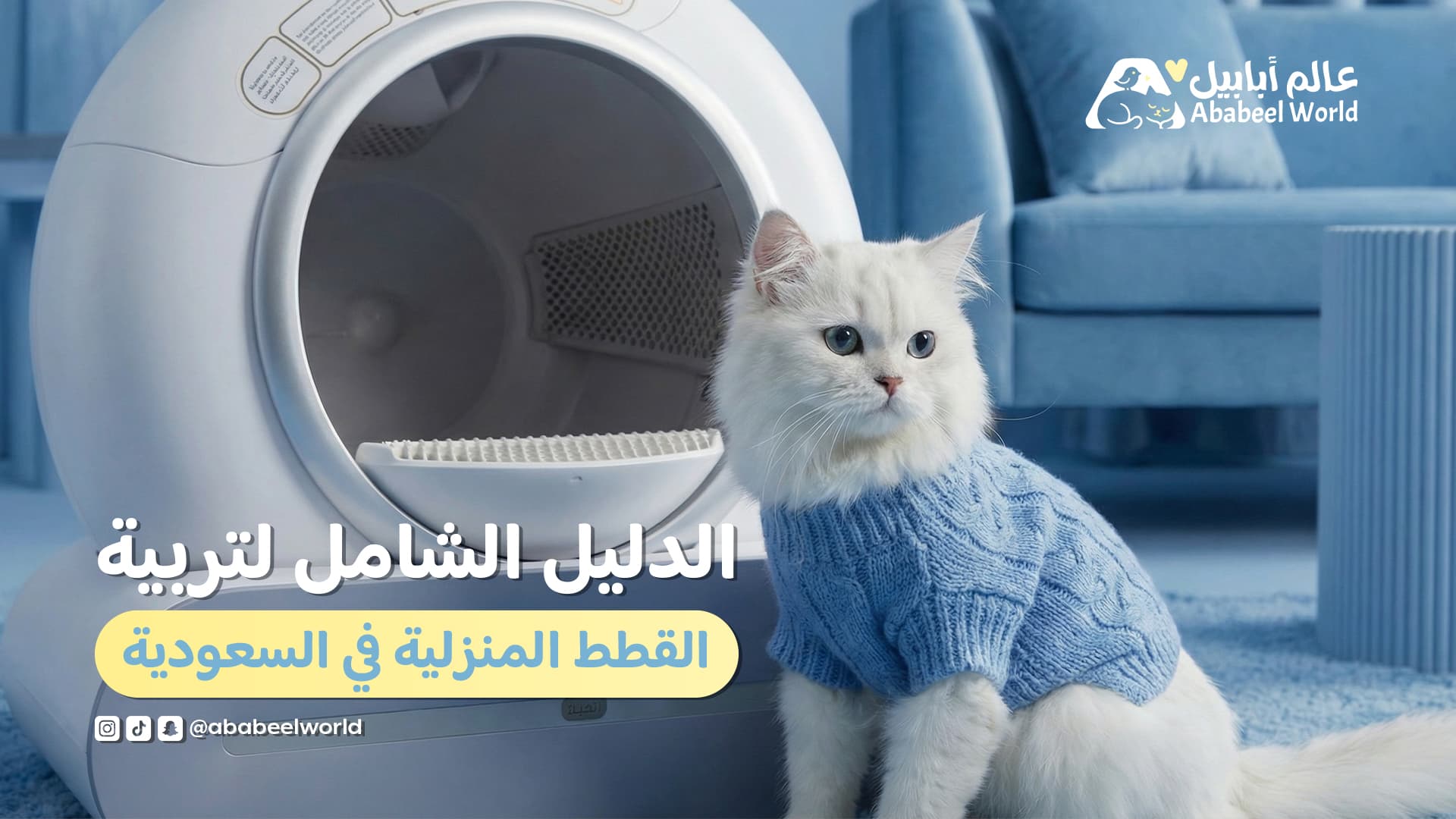 الدليل الشامل لتربية القطط المنزلية في السعودية: كل اللي تحتاجه لراحة قطتك وراحة بيتك