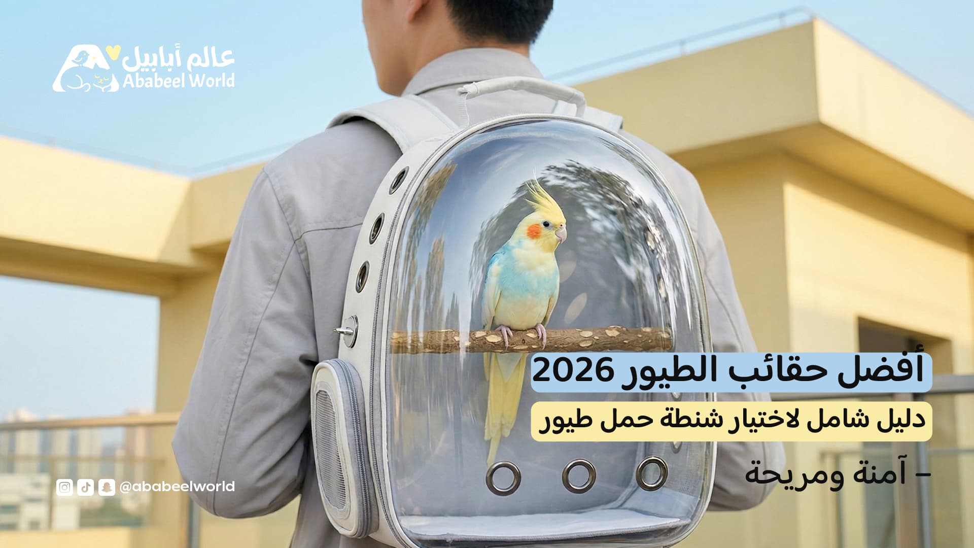 أفضل حقائب الطيور 2026 – دليل شامل لاختيار شنطة حمل طيور آمنة ومريحة