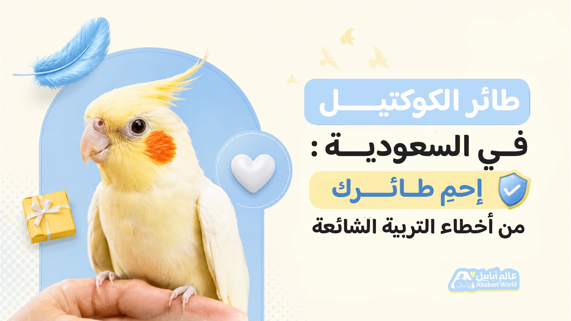 طائر الكوكتيل في السعودية: احمِ طائرك من أخطاء التربية الشائعة