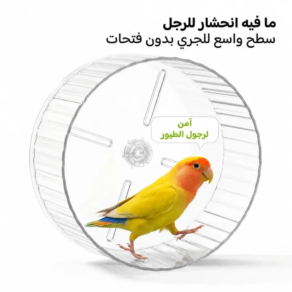 Spinning wheel toy for birds
