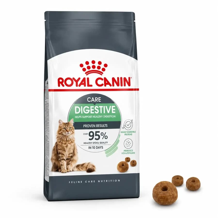 Royal Canin Digestive Care Dry Food for Adult Cats